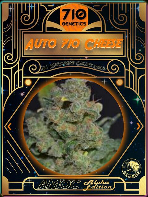 strain card