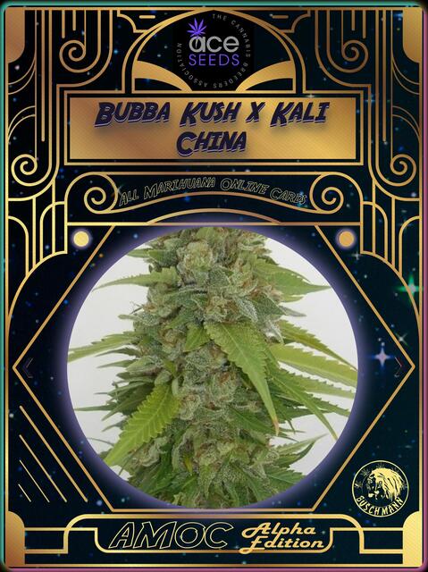 strain card