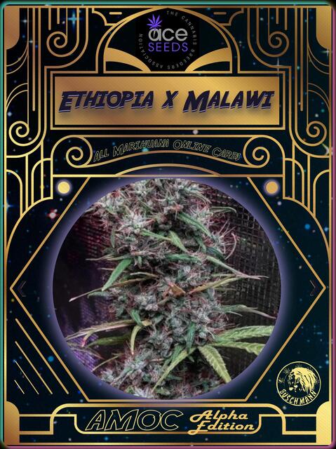 strain card