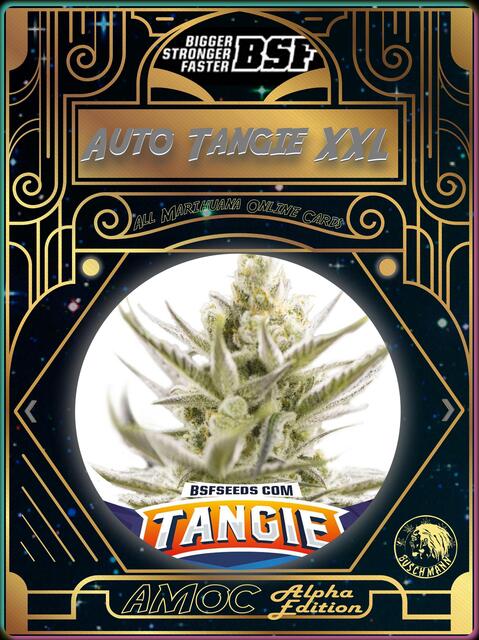 strain card