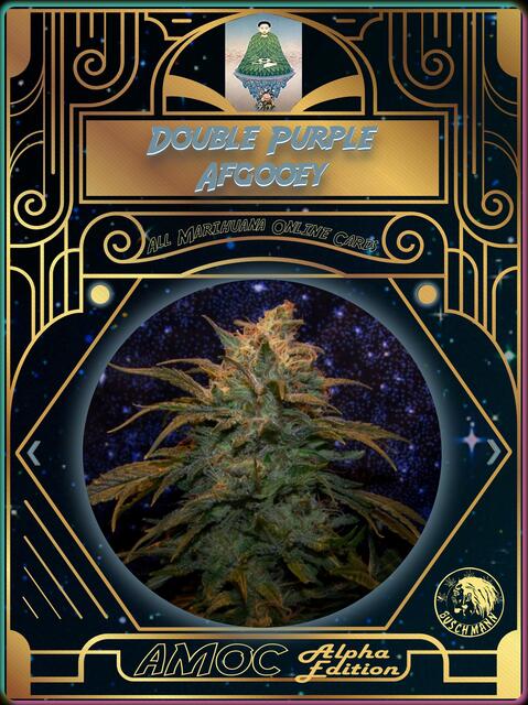 strain card