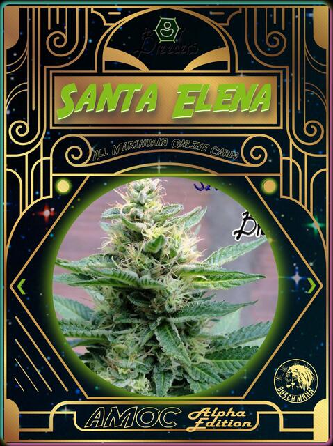 strain card