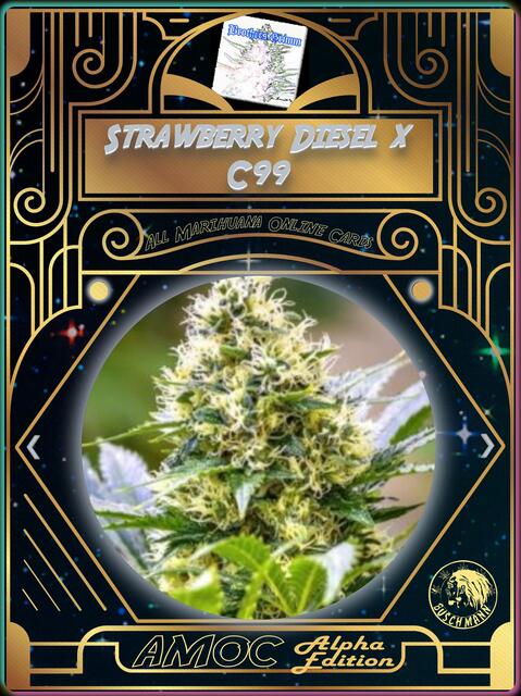 strain card