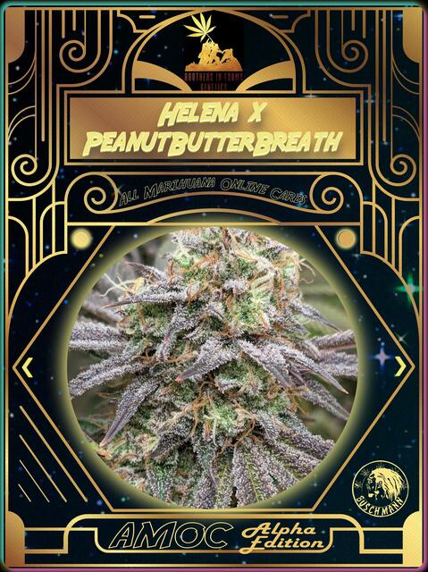 strain card