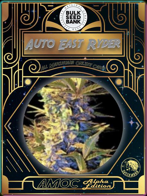 strain card