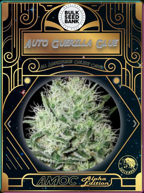 strain card