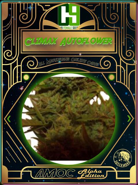 strain card