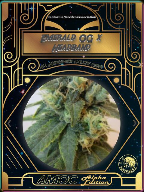 strain card