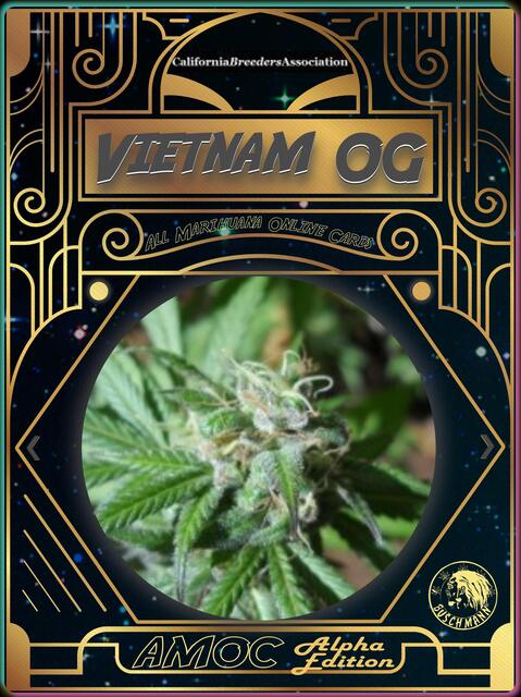 strain card