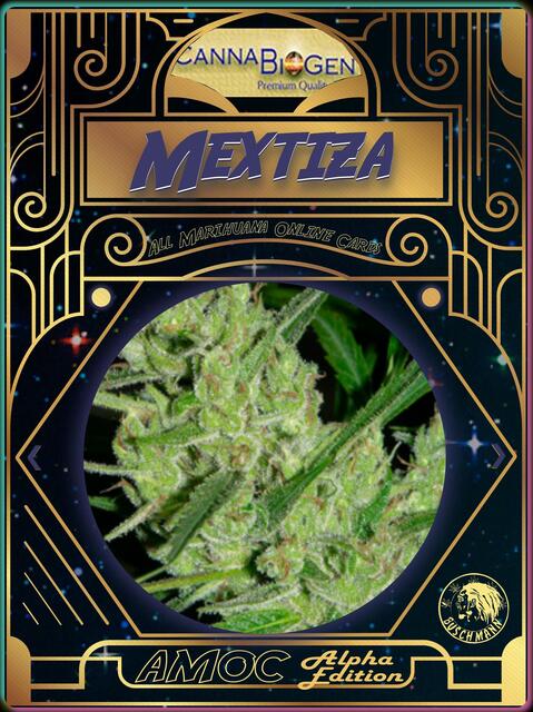 strain card