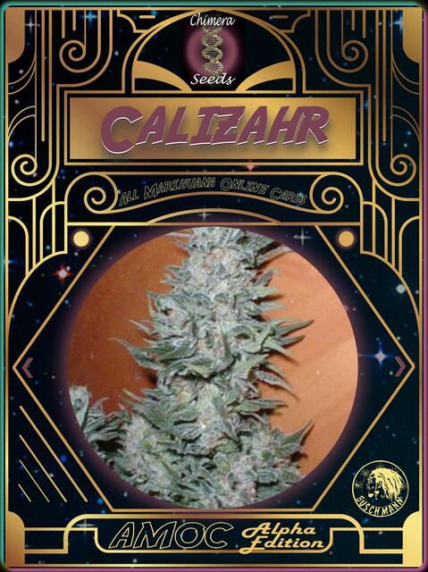 strain card