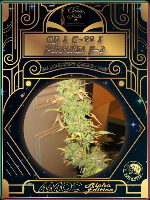 strain card