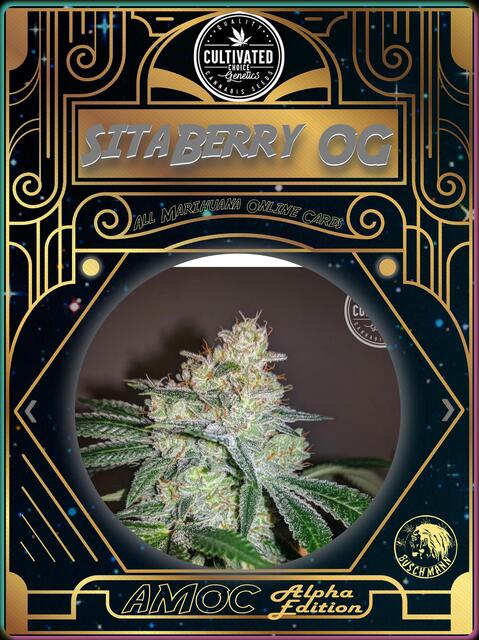 strain card