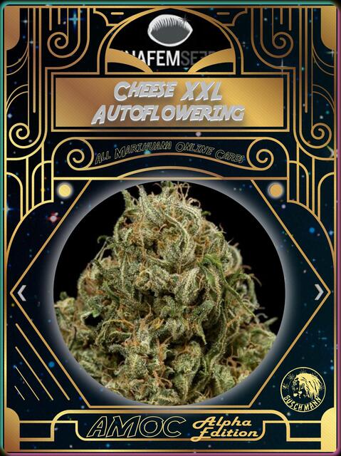 strain card