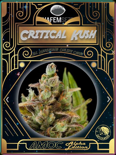 strain card