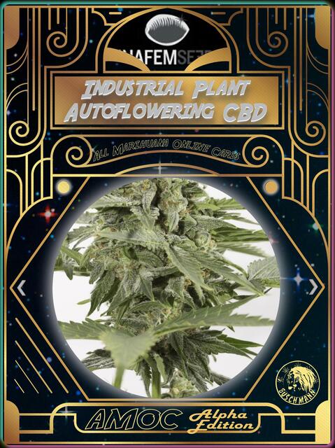 strain card
