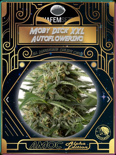 strain card