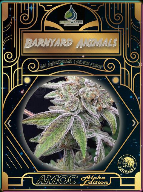 strain card