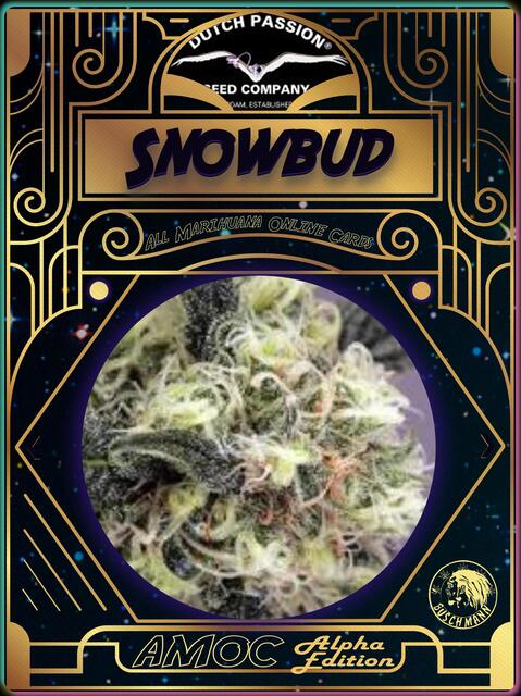 strain card