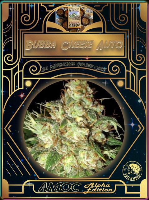 strain card