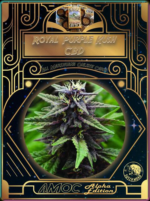 strain card
