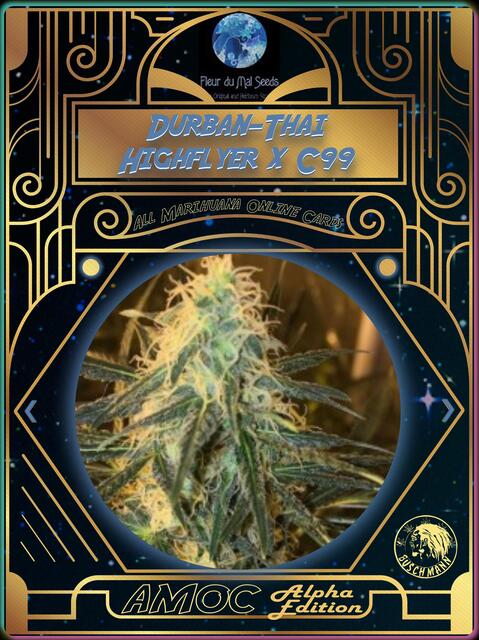 strain card