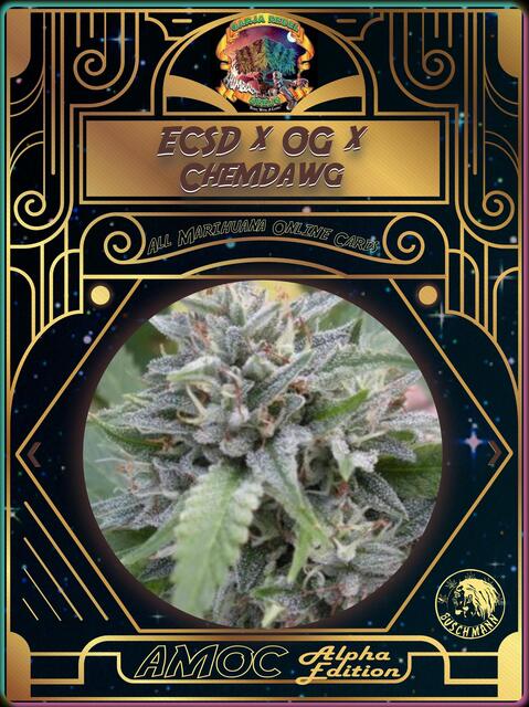 strain card