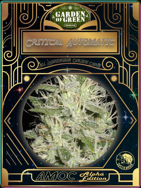 strain card