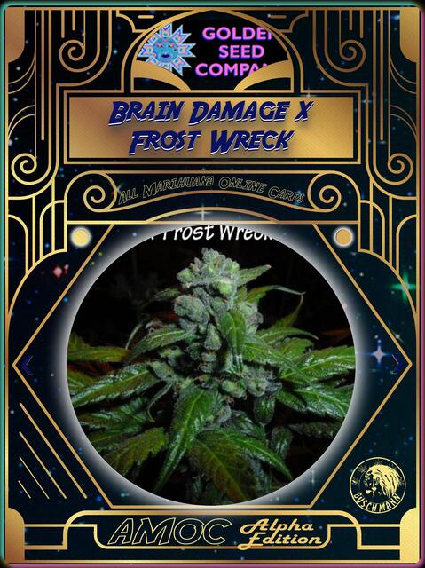 strain card