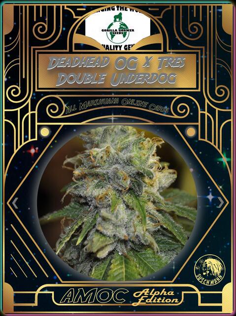strain card