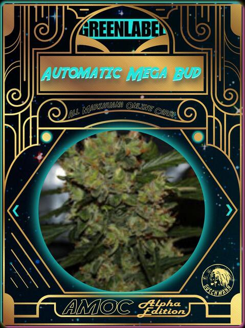 strain card