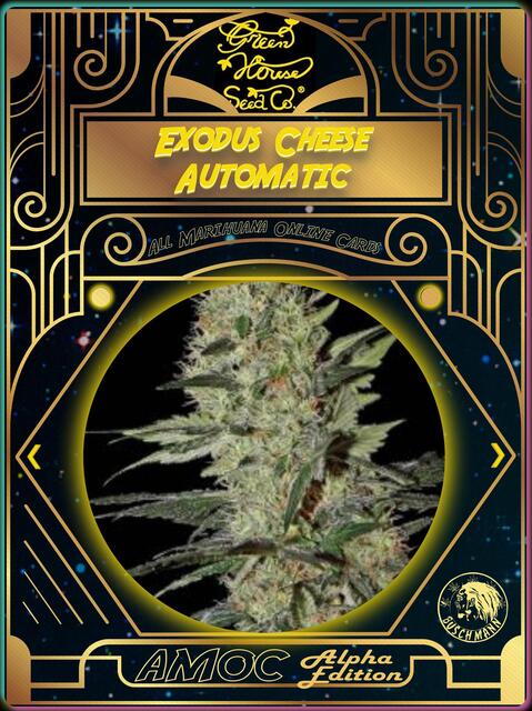 strain card