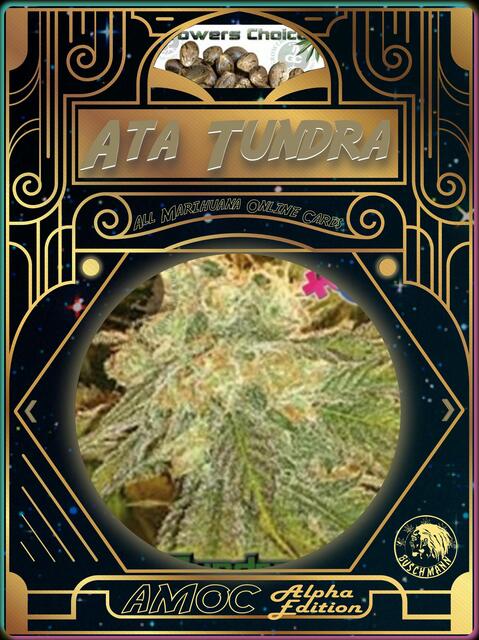 strain card