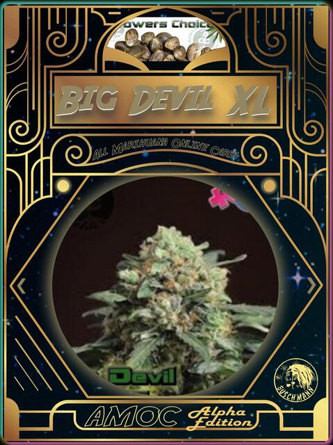 strain card