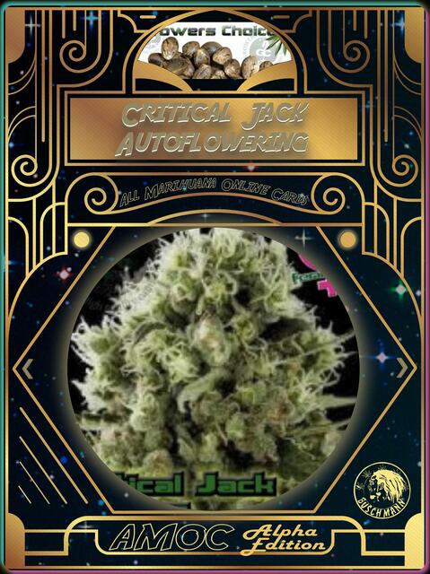 strain card