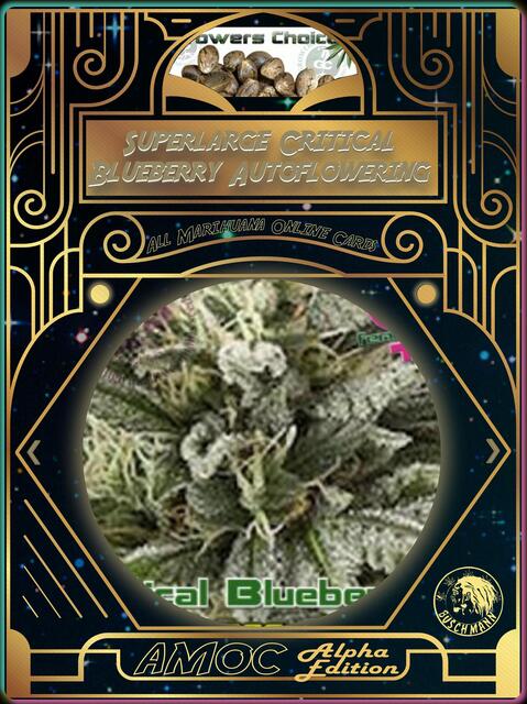 strain card