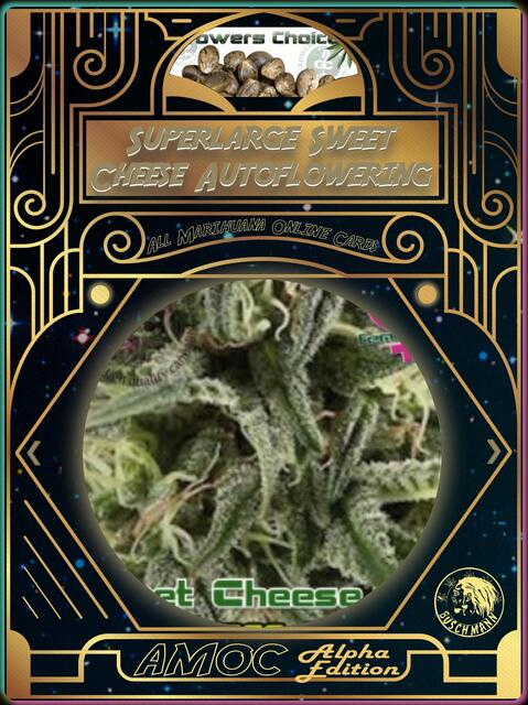 strain card