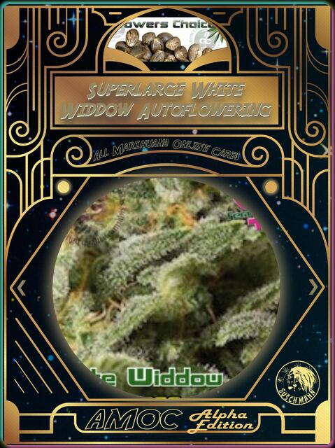 strain card