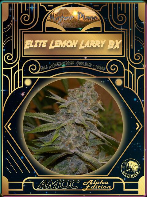 strain card