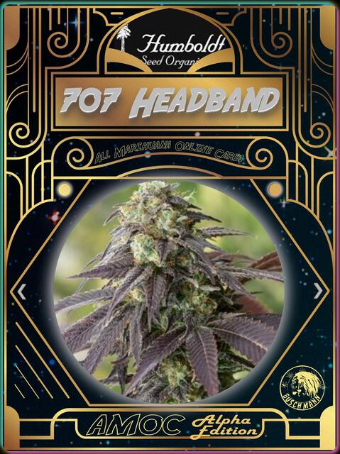 strain card