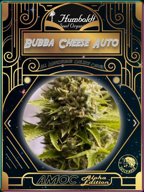 strain card