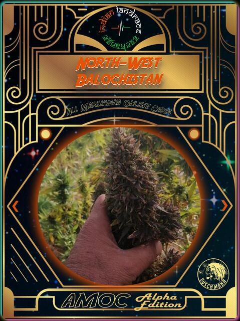 strain card