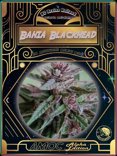 strain card