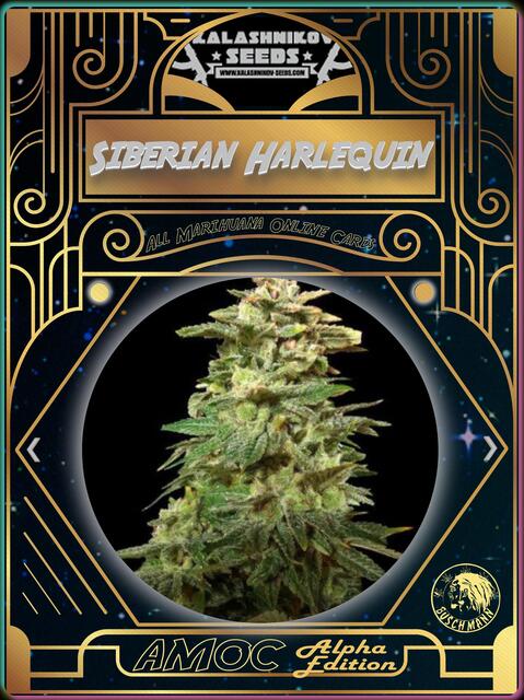 strain card