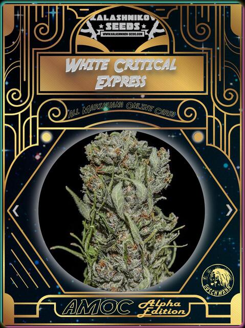 strain card