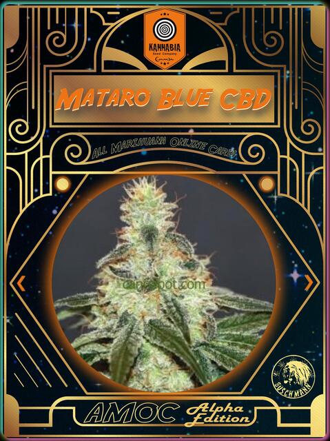 strain card