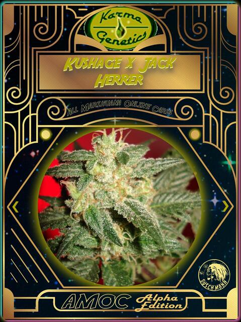 strain card