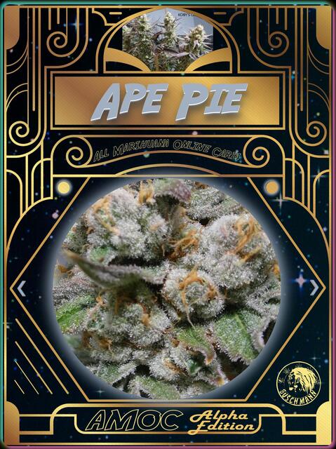 strain card