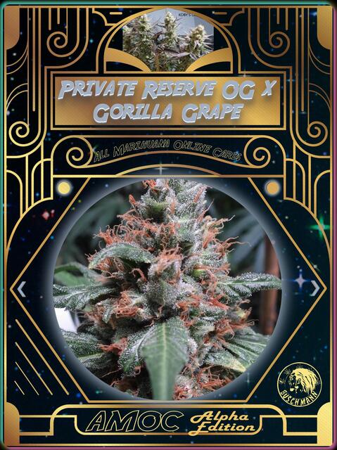 strain card
