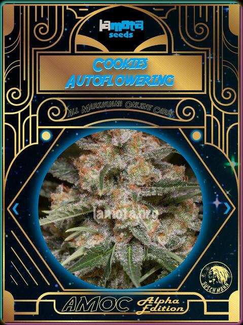 strain card